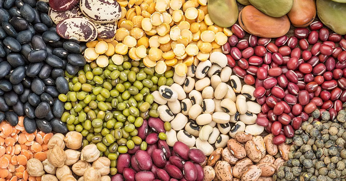 Grãos de feijão em tigela durante processo de molho antes do cozimento.