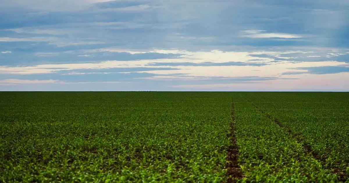 Representação do agronegócio brasileiro em meio à discussão sobre renegociação de dívidas rurais