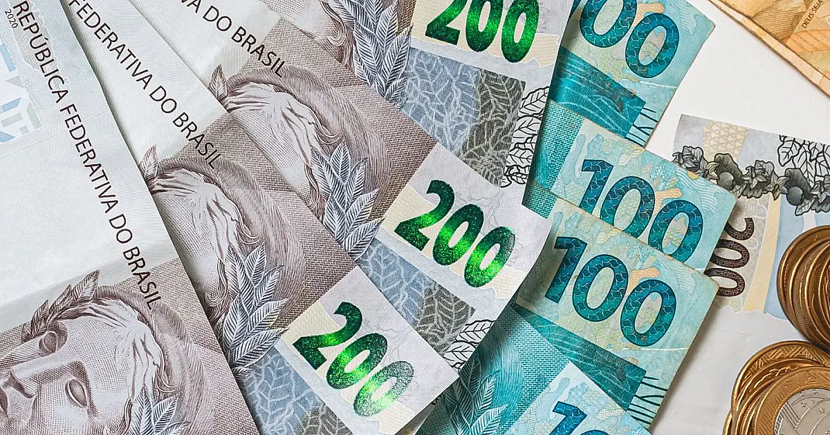 Representação de multa financeira relacionada à proibição da planta espirradeira