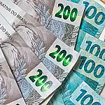 Lei prevê multa de até R$ 1 mil para cultivo de planta tóxica em cidade mineira
