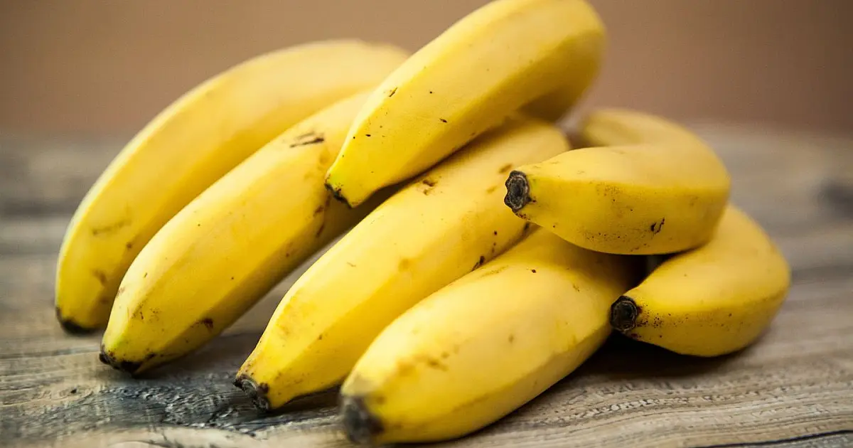 Bananas utilizadas no preparo de vitamina rica em potássio para auxiliar na recuperação da ressaca.