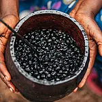 Estudo revela que açaí tem efeito contra ansiedade e depressão